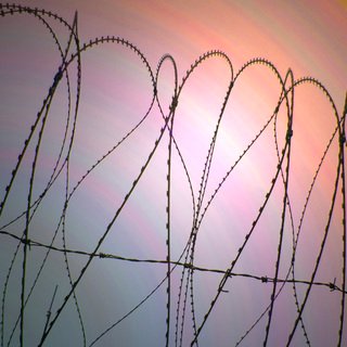 terrorisme, contrôle, filet, stratégie,